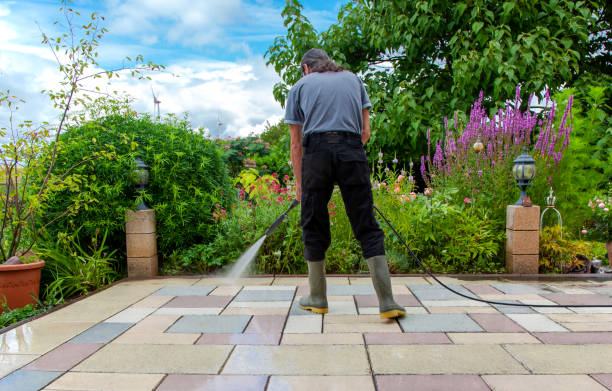 Best Animal Enclosure Cleaning  in East Camden, AR